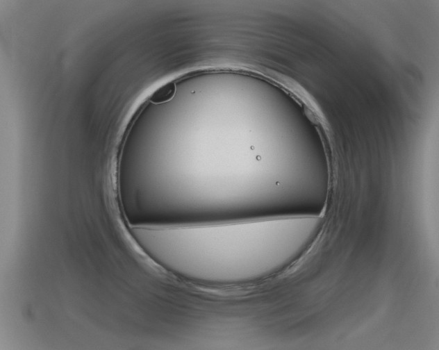 X0000115491388200911060952
