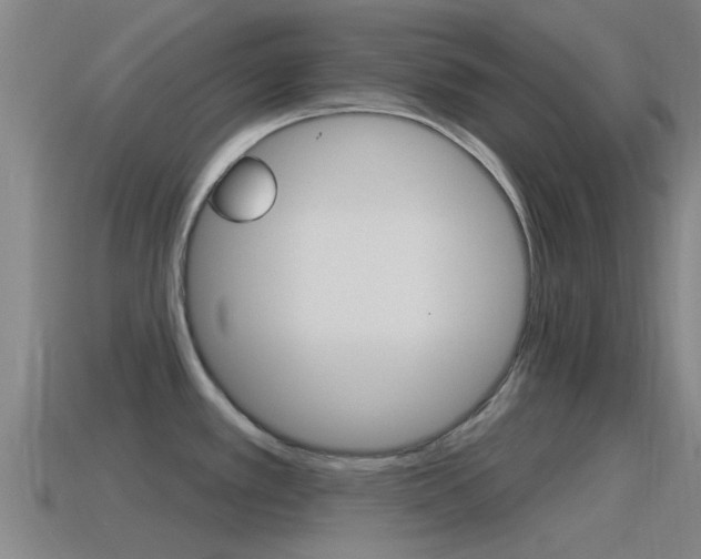 X0000115491389200911060952