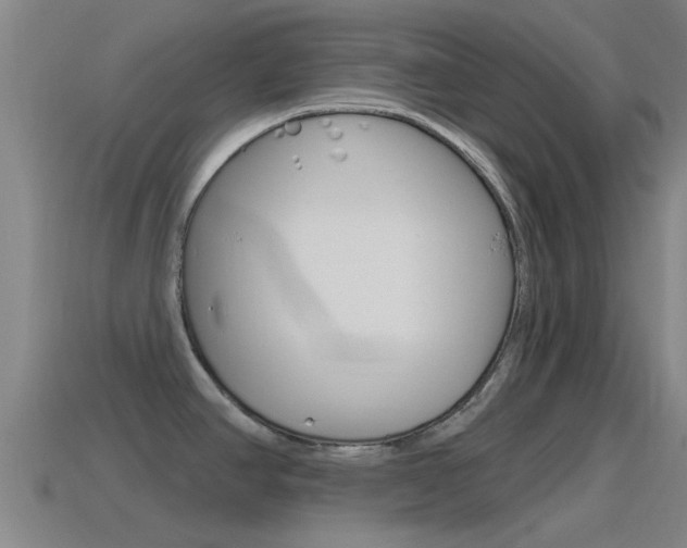 X0000115491390200911060952