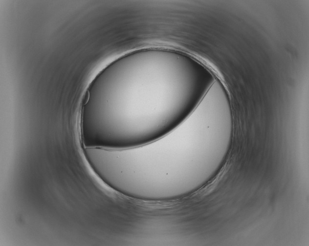 X0000115491391200911060952
