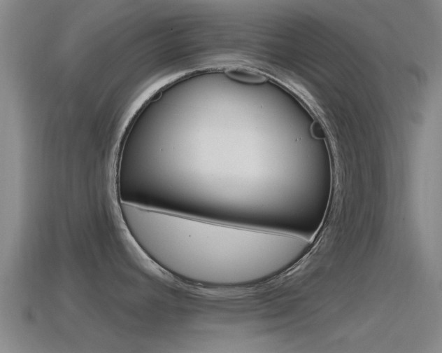 X0000115491392200911060952