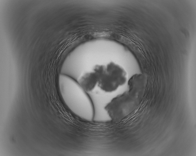 X0000115491393200911060952