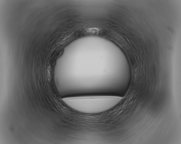 X0000115491394200911060952
