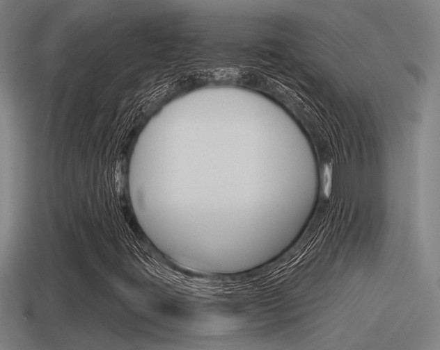 X0000115491395200911060952
