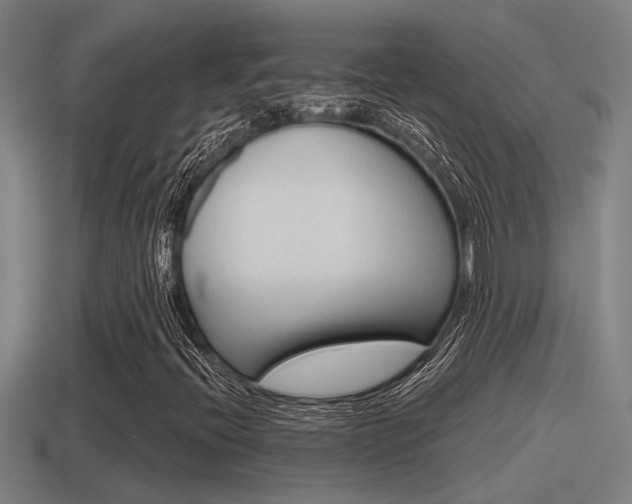 X0000115491396200911060952