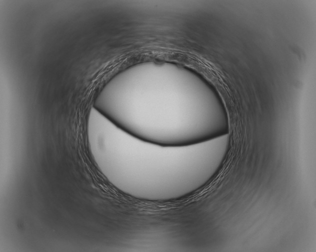 X0000115491397200911060952