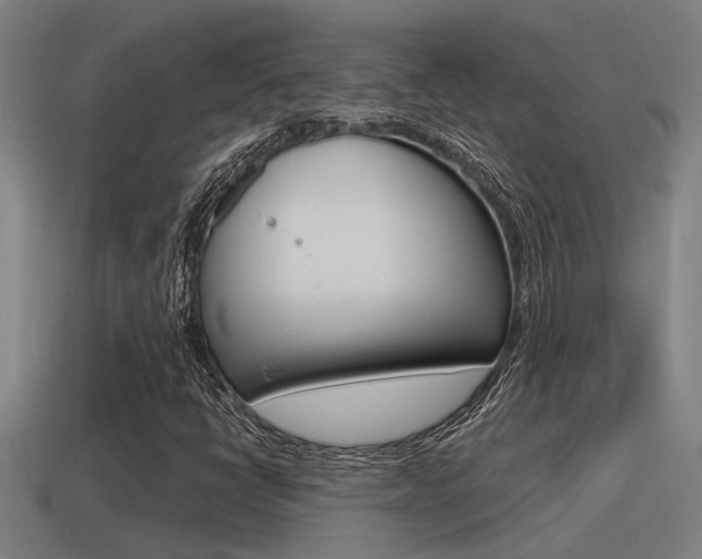 X0000115491398200911060952