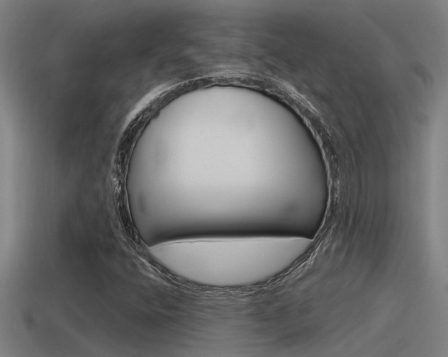 X0000115491400200911060952