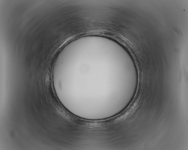X0000115491401200911060952
