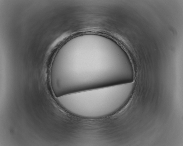 X0000115491406200911060952