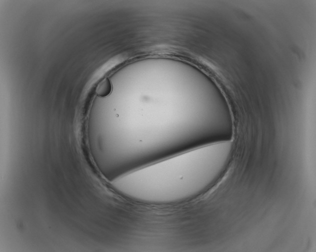 X0000115491410200911060952