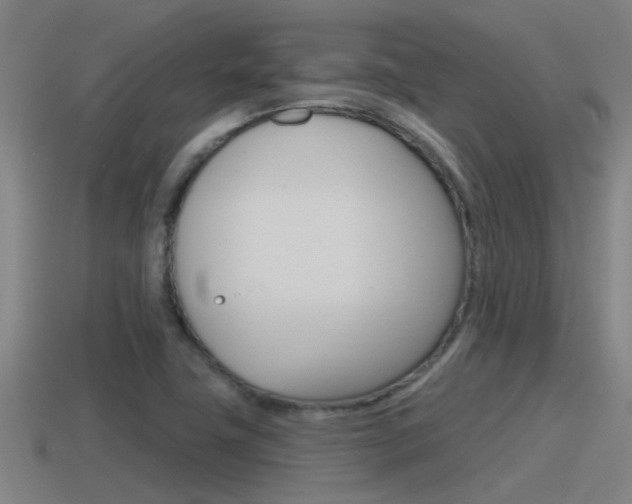 X0000115491411200911060952
