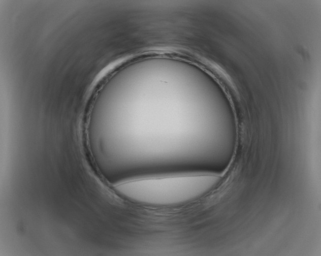 X0000115491412200911060952