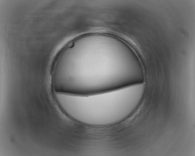 X0000115491414200911060952