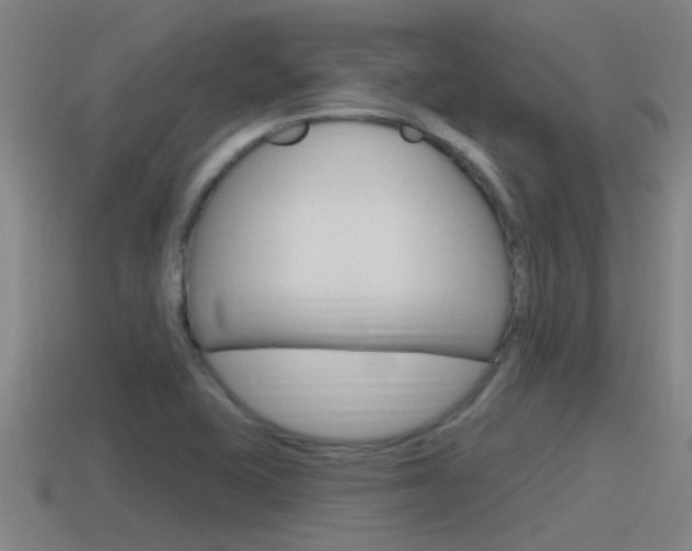 X0000115491415200911060952