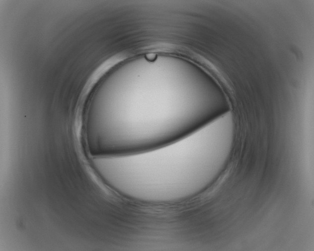 X0000115491418200911060952