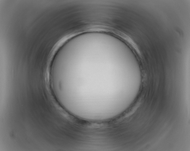 X0000115491419200911060952