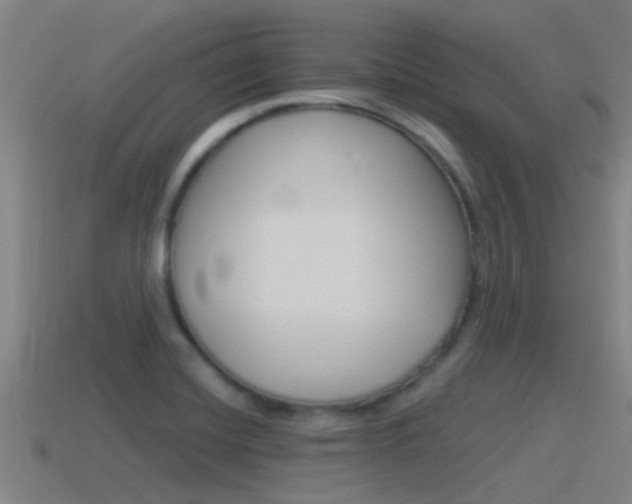 X0000115491420200911060952