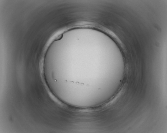 X0000115491421200911060952