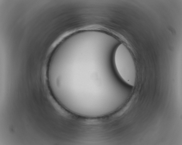 X0000115491422200911060952