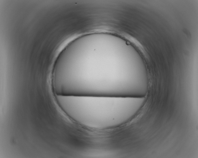 X0000115491423200911060952
