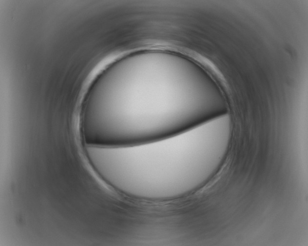 X0000115491424200911060952