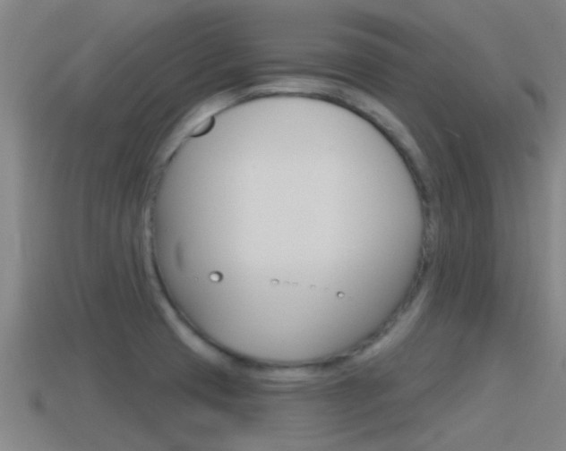 X0000115491425200911060952
