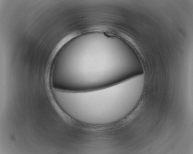 X0000115491426200911060952