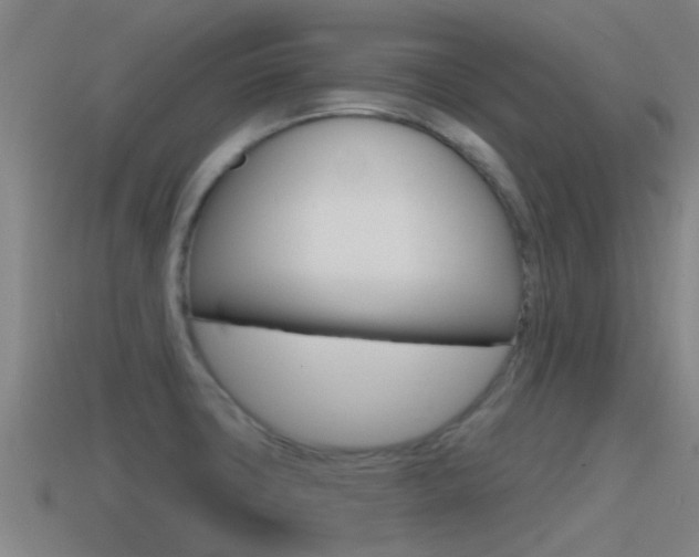 X0000115491427200911060952