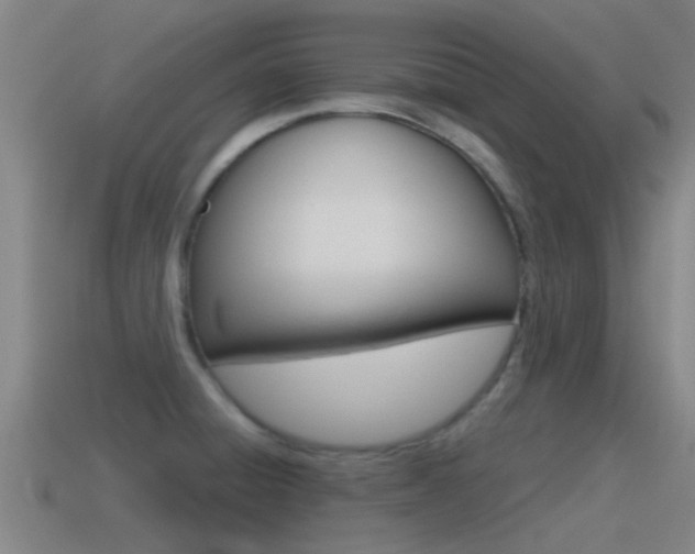 X0000115491428200911060952
