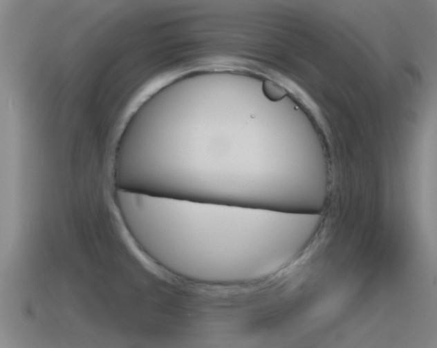 X0000115491429200911060952