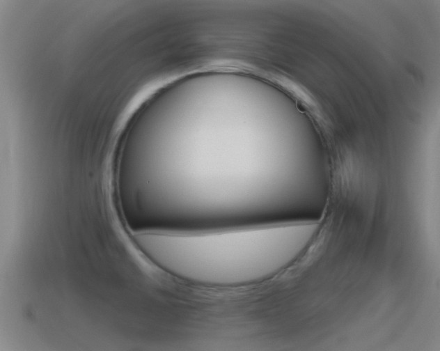 X0000115491430200911060952