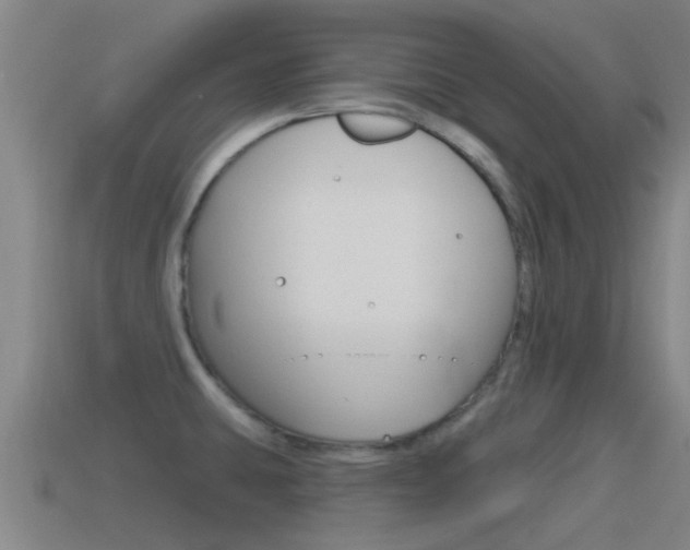 X0000115491431200911060952