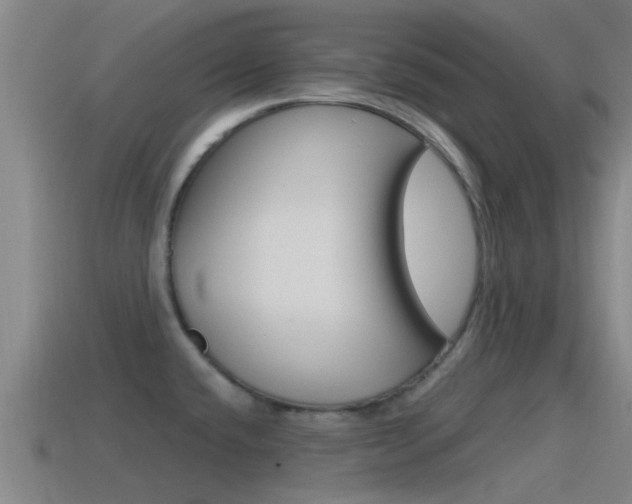 X0000115491432200911060952