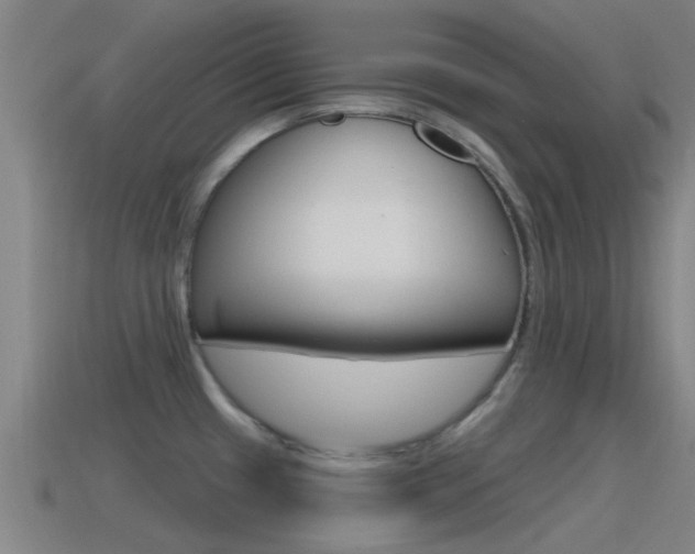 X0000115491433200911060952