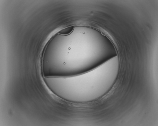 X0000115491434200911060952