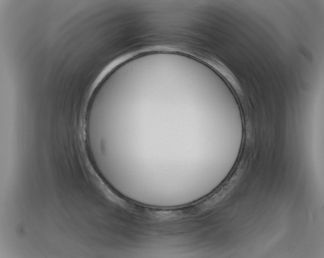 X0000115491436200911060952