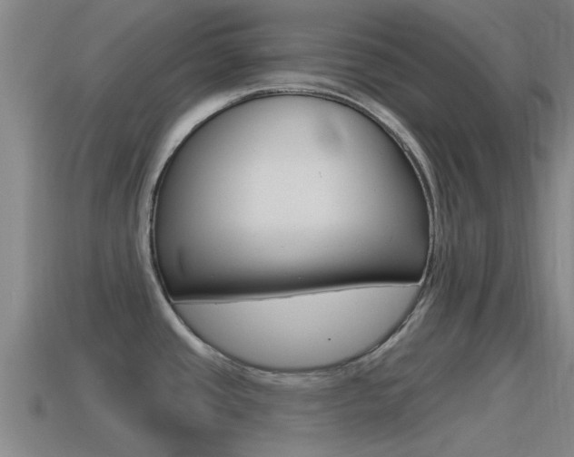 X0000115491437200911060952