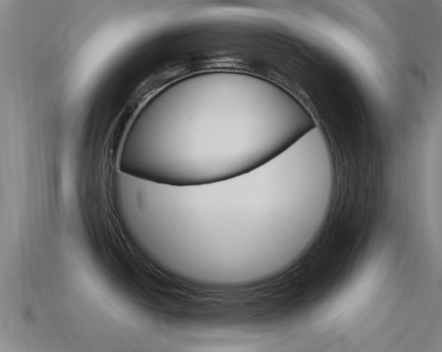 X0000115491438200911060952