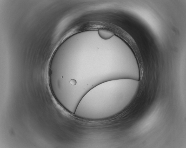 X0000115491439200911060952