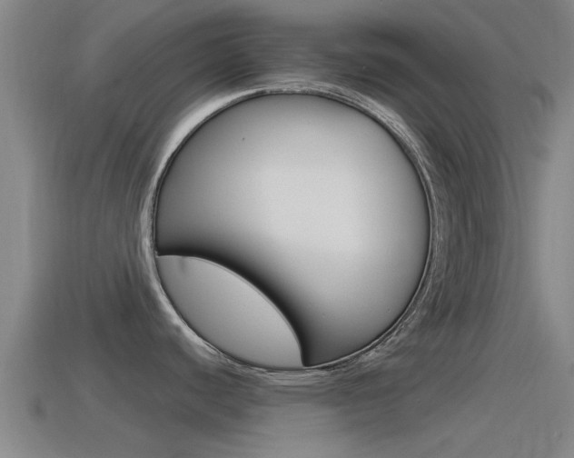 X0000115491440200911060952