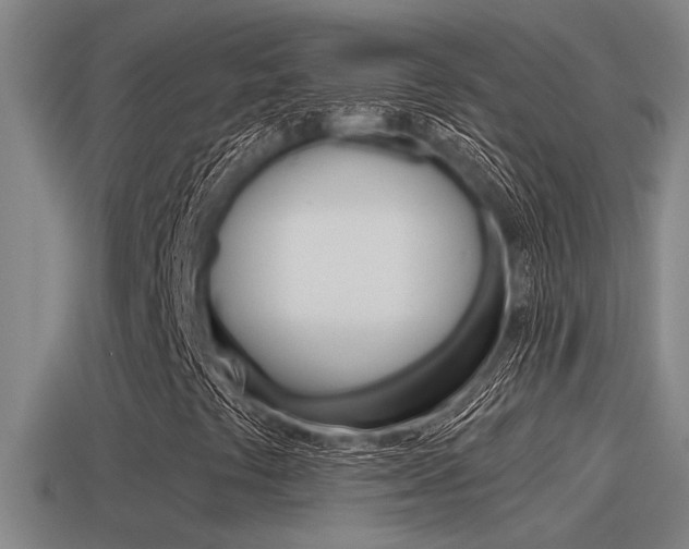 X0000115491441200911060952