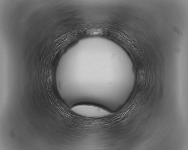 X0000115491442200911060952