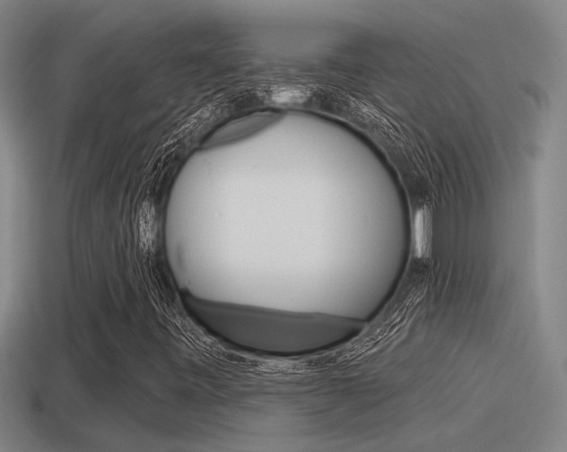 X0000115491443200911060951