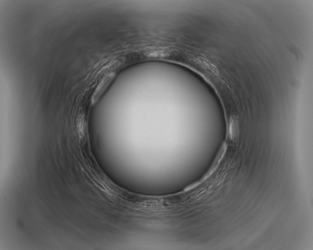 X0000115491444200911060951