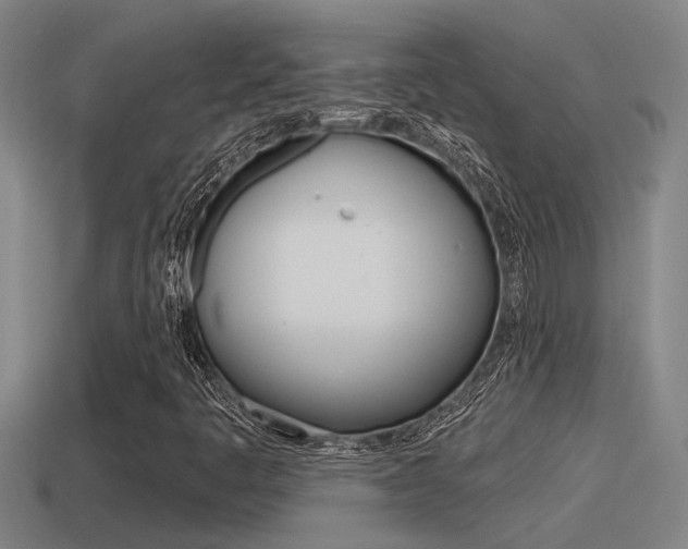 X0000115491445200911060951