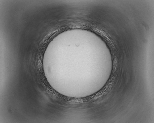 X0000115491446200911060951