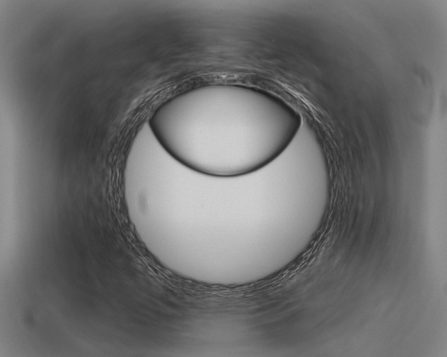X0000115491447200911060951