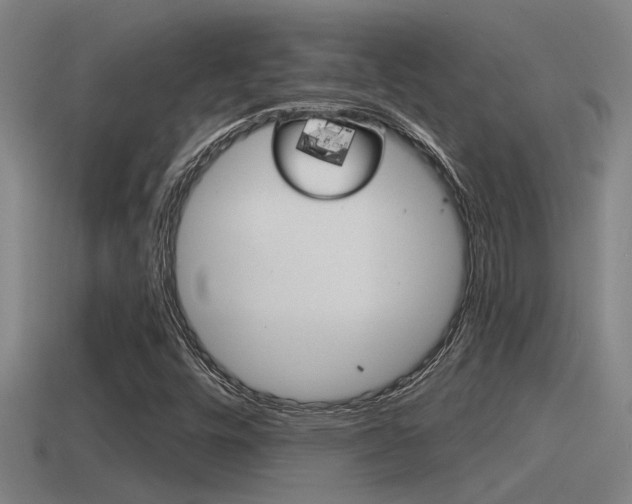 X0000115491448200911060951