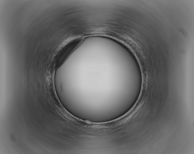 X0000115491449200911060951